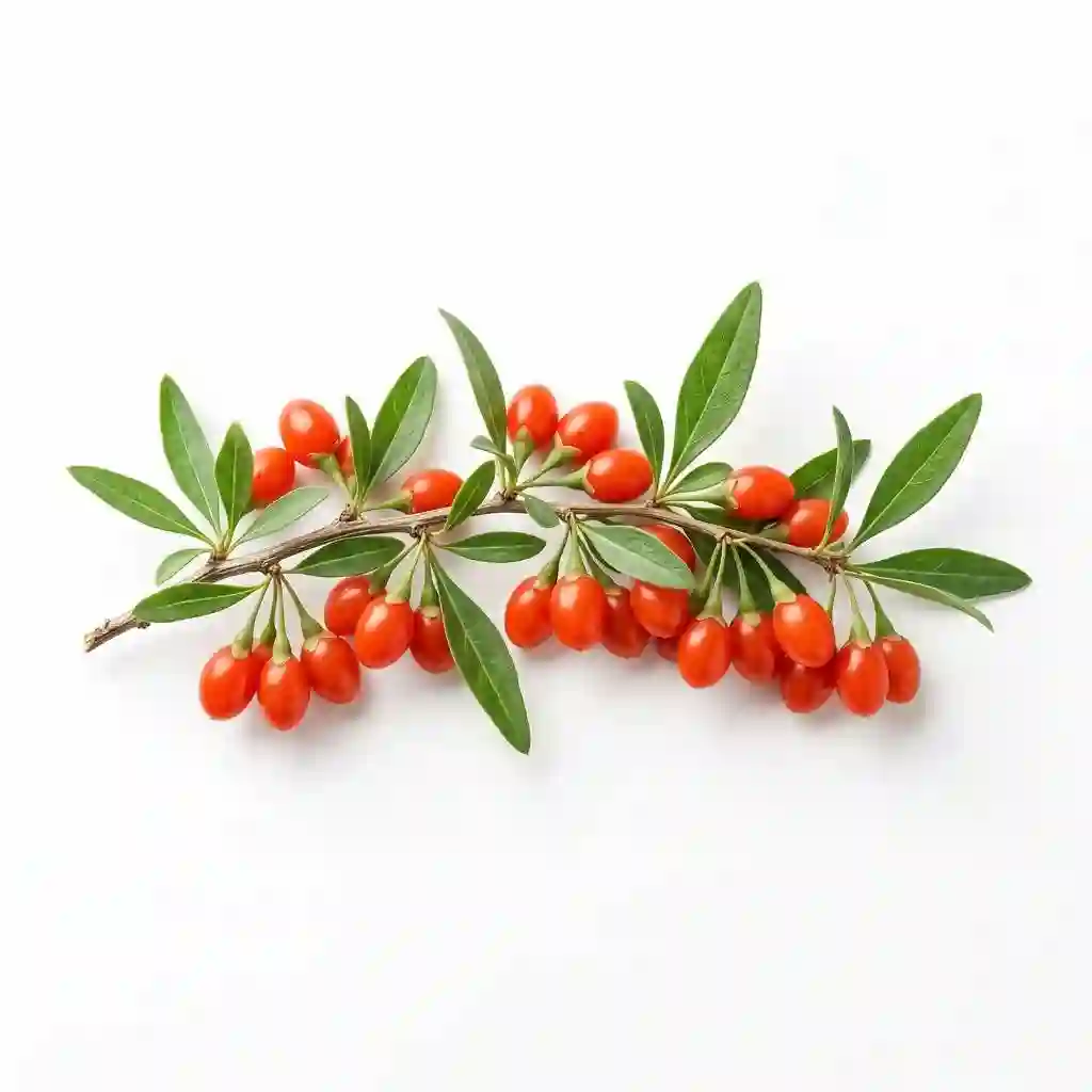 goji berry